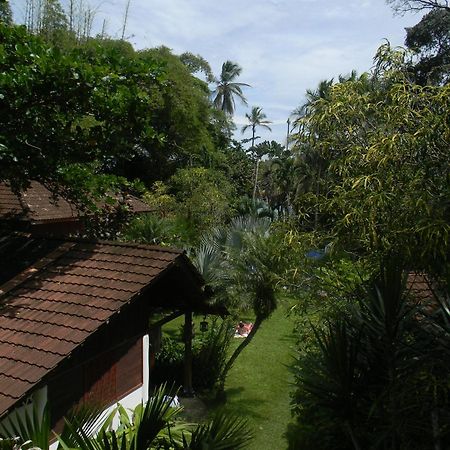 Chalet Y Cabinas Hibiscus Кауита Экстерьер фото