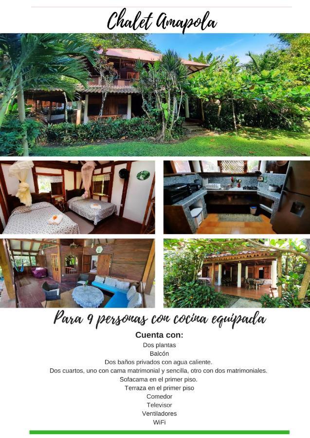 Chalet Y Cabinas Hibiscus Кауита Экстерьер фото