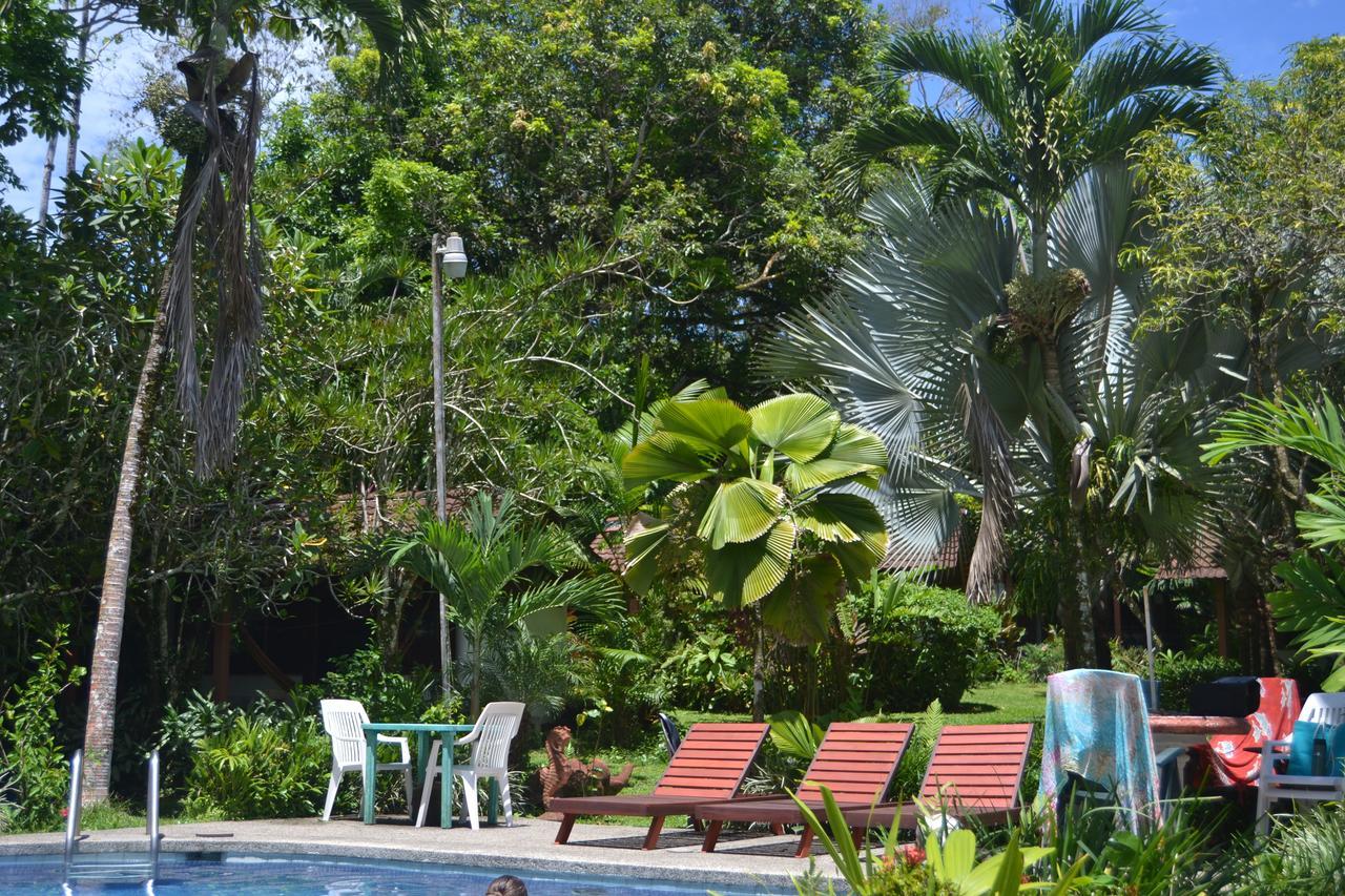 Chalet Y Cabinas Hibiscus Кауита Экстерьер фото