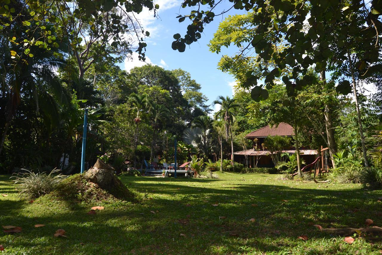 Chalet Y Cabinas Hibiscus Кауита Экстерьер фото